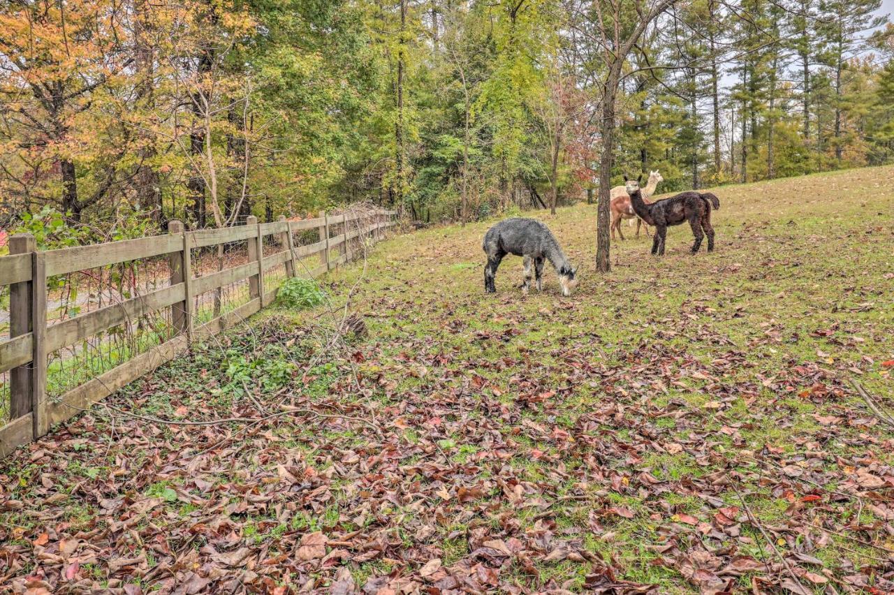 Rustic Hendersonville Farm Studio With Private Deck Exteriör bild