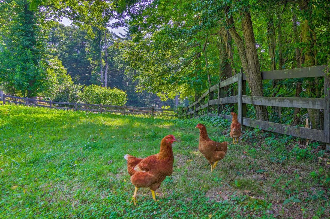 Rustic Hendersonville Farm Studio With Private Deck Exteriör bild