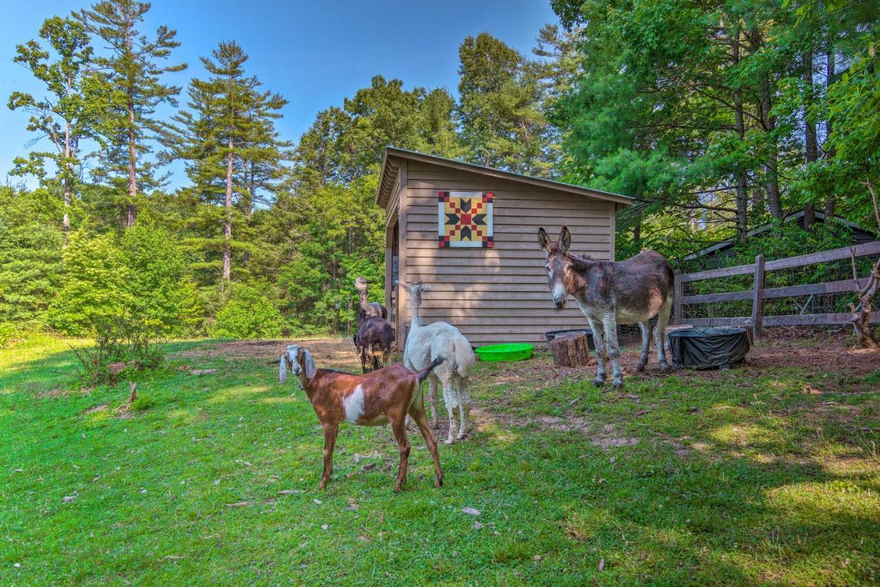 Rustic Hendersonville Farm Studio With Private Deck Exteriör bild